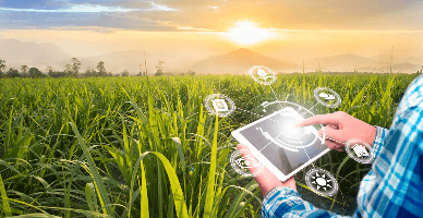 Programul strategic al politicii agricole: desemnarea autorității ce va asigura managementul