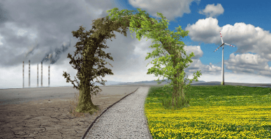 Utilizarea, conservarea și protecția solurilor va fi reglementată prin lege organică