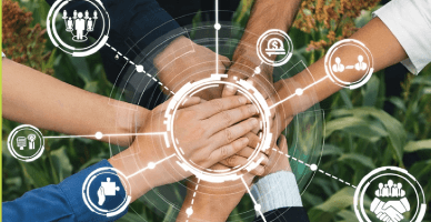 Недобросовестные практики в агропродовольственной цепочке: разработан отдельный закон