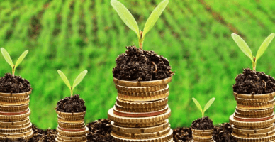 Regulamentul privind rambursarea TVA pentru producătorii agricoli va fi revizuit