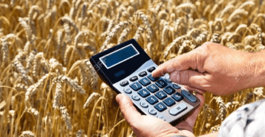 Cheltuielile aferente culturilor agricole nerecoltate: abordare contabilă și fiscală
