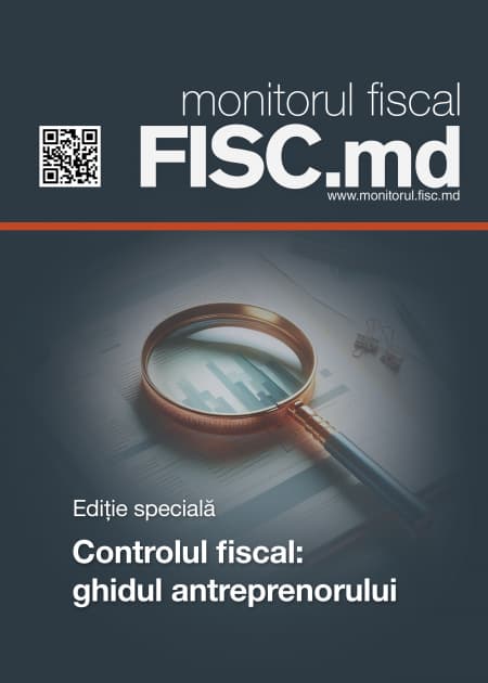 Controlul fiscal: ghidul antreprenorului