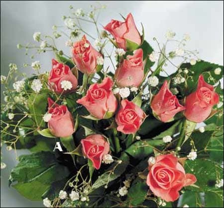 Сu prilejul Zilei Economistului