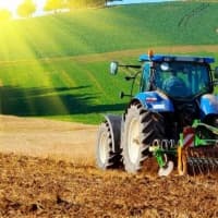 Compensarea parțială a accizelor la motorină utilizată de producători agricoli. Mecanismul de acordare, aspecte contabile și fiscale