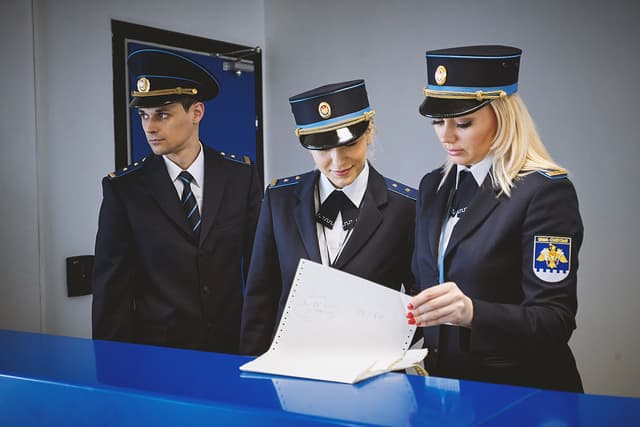 Vinieta a adus aproximativ jumătate de milion de lei la buget în 24 ore