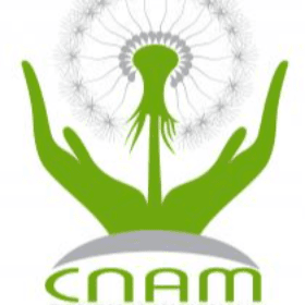 Veniturile și cheltuielile FAOAM în primul semestru