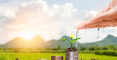 Subvenționarea investițiilor pe etape: AIPA anunță lansarea apelului I