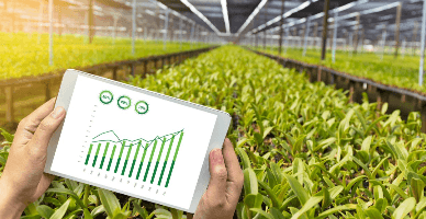 Rețeaua de colectare a informațiilor contabile agricole: atribuțiile Comitetului