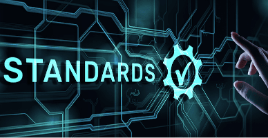 Standardele Naționale de Contabilitate pentru Sectorul Public, înaintate pentru consultări publice